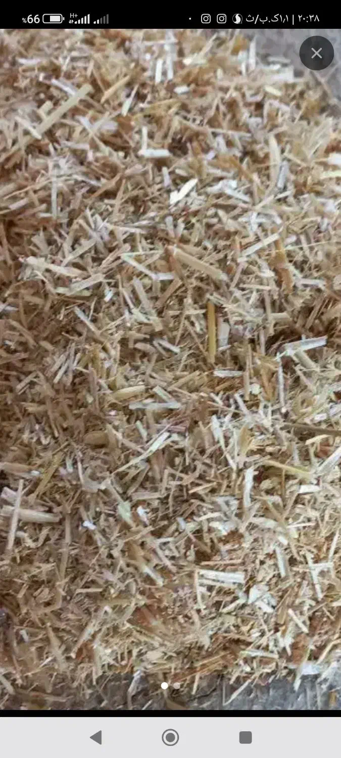 کاه دست اول درجه یک گندم ریز|لوازم جانبی حیوانات|انبارآلوم, |دیوار