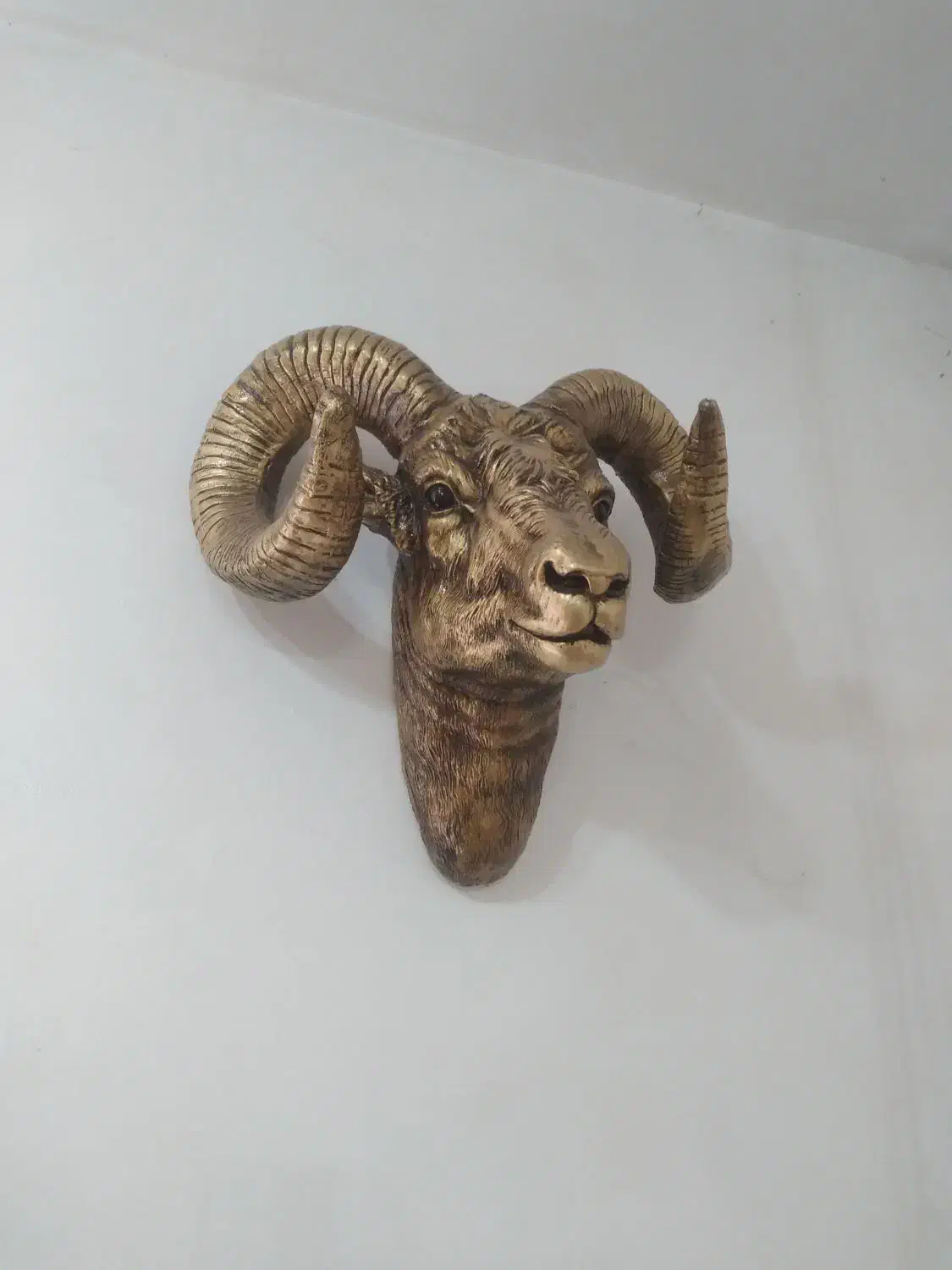 تزئینی مجسمه نماد بز کوهی (کل)|مجسمه، تندیس، ماکت|تولم شهر, |دیوار