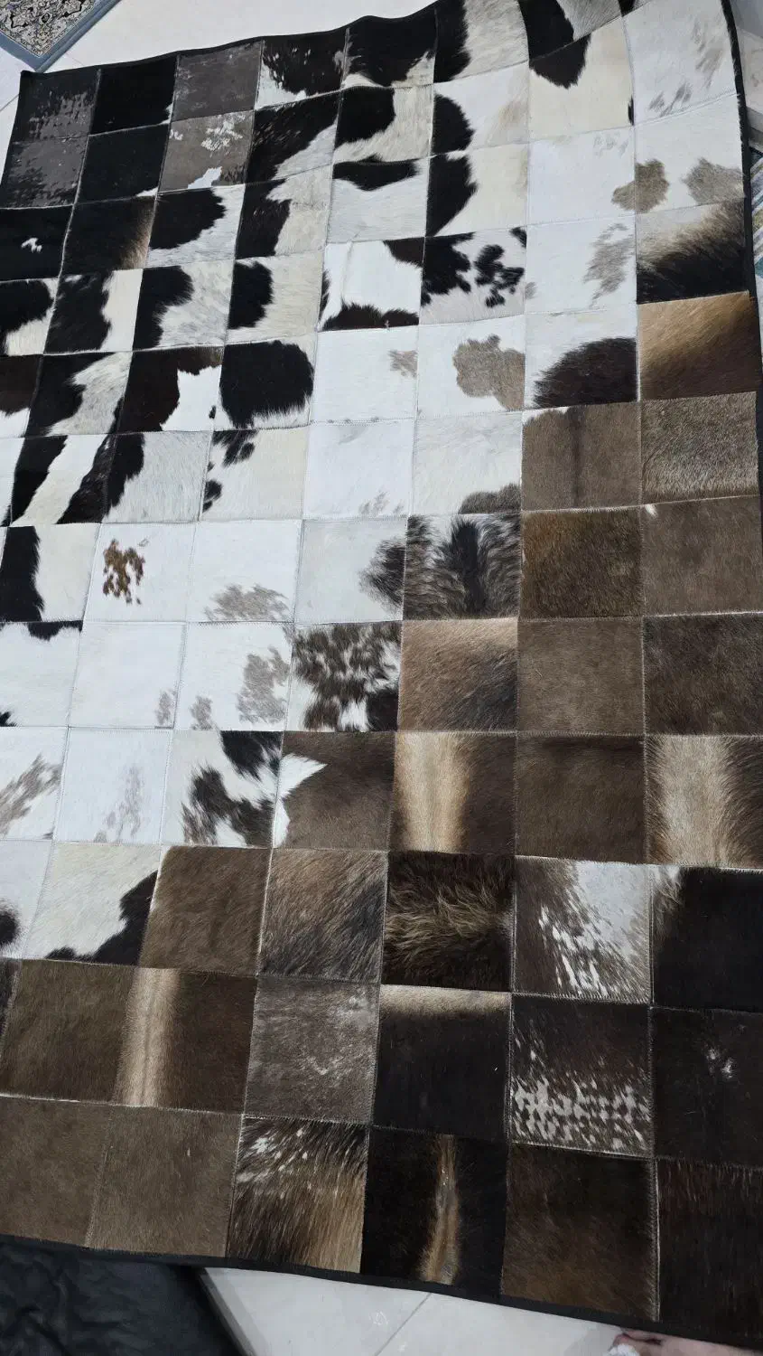 فرش چرم|فرش|پردیس, فاز ۳|دیوار