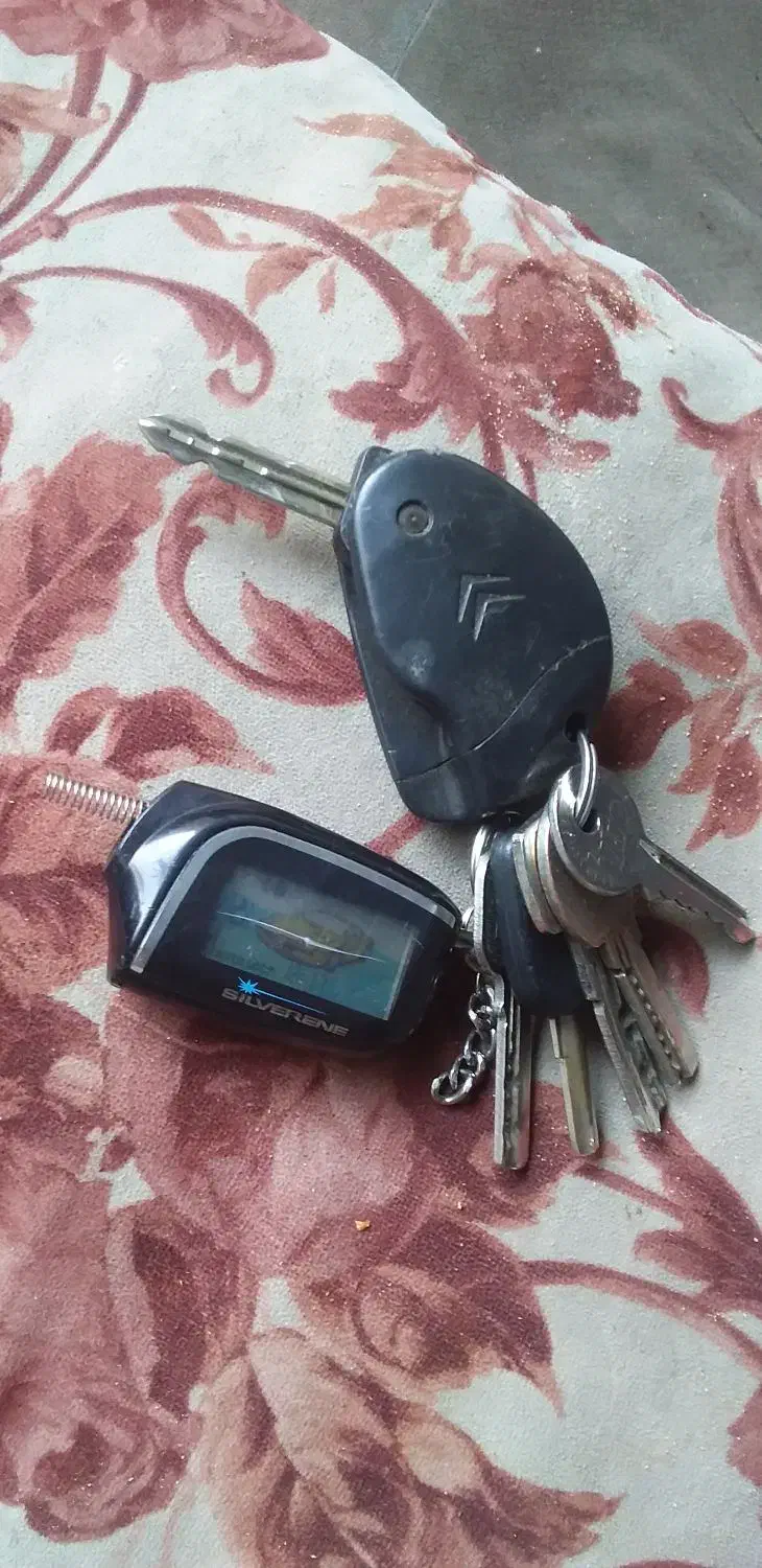 ریموت ودسته کلید به همراه سویج ماشین پیدا شده|اشیا|کرج, حصارک پایین|دیوار