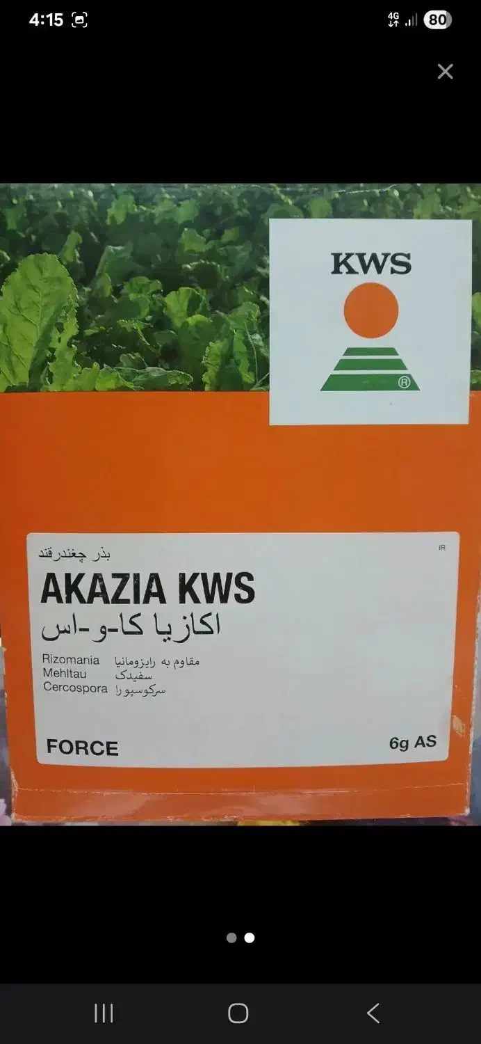 بذر چغندر (اکازیا)|گل و گیاه طبیعی|سرپل ذهاب, |دیوار