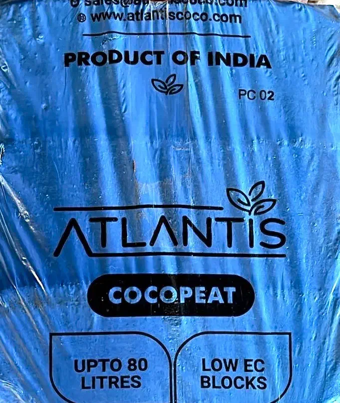 کوکوپیت هندی|گل و گیاه طبیعی|تهران, ائمه اطهار|دیوار