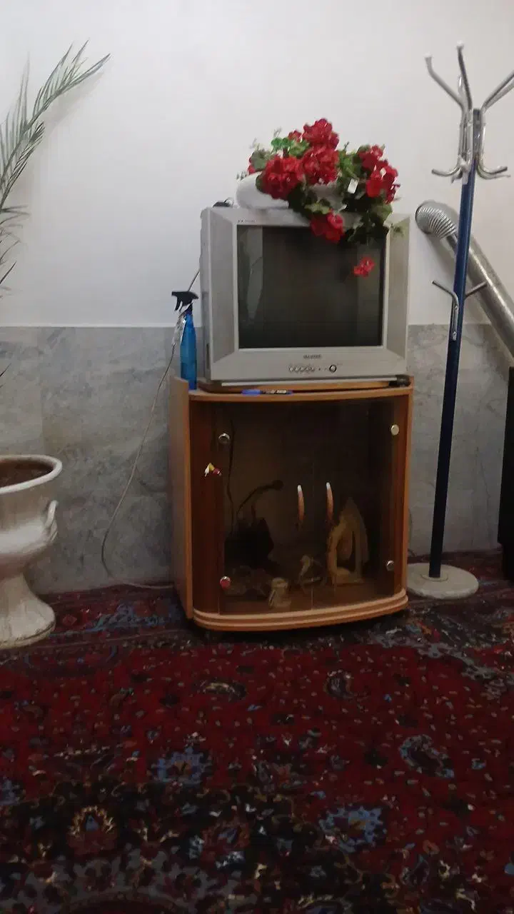 تلوزیون ۲۱ نو وسالم|تلویزیون و پروژکتور|بیرجند, |دیوار