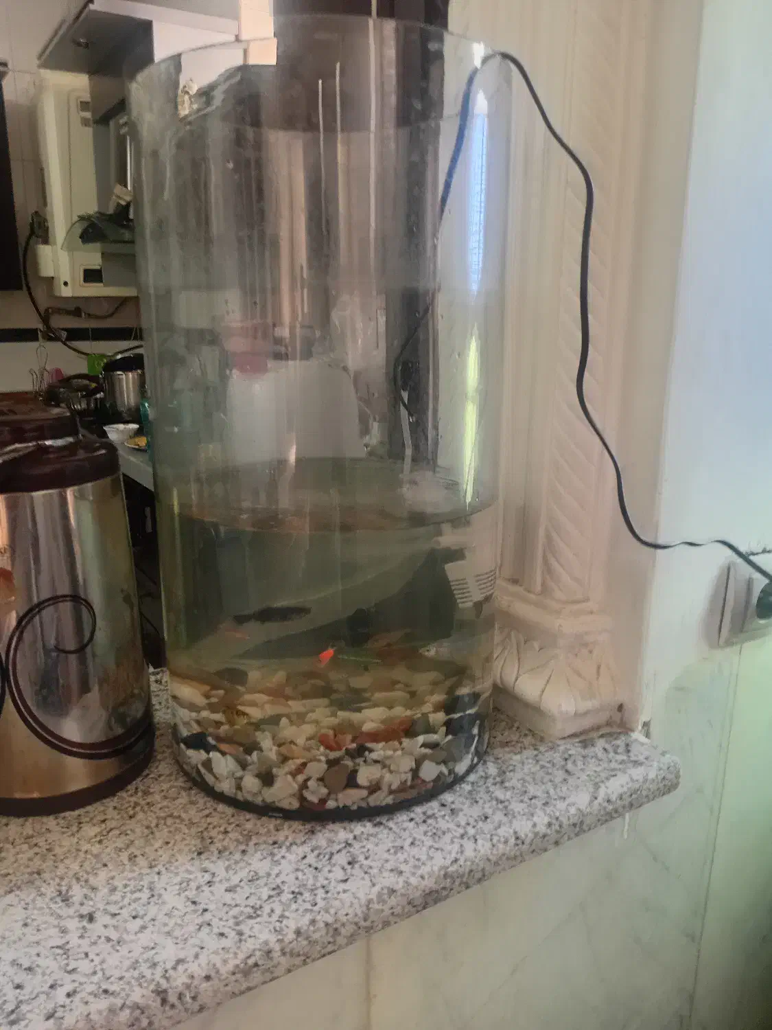 آکواریم با تجهیزات|ماهی|شیراز, تندگویان|دیوار