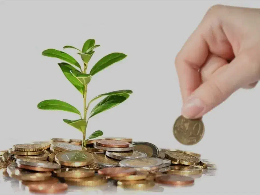 نیازمند سرمایه گذار و شریک تجاری|فعالیت داوطلبانه|ایرانشهر, |دیوار