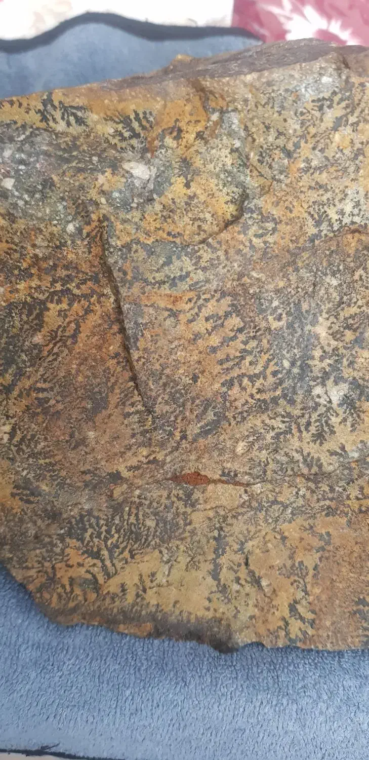 سنگ شجر|کلکسیون اشیاء عتیقه|خرمدره, |دیوار