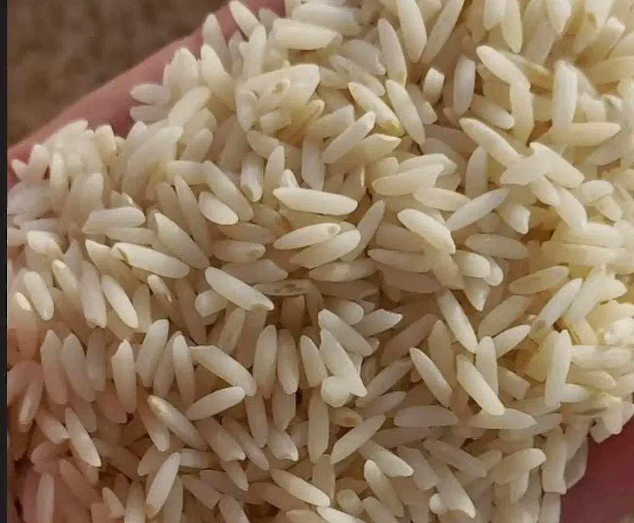 برنج میانه|خوردنی و آشامیدنی|تبریز, |دیوار