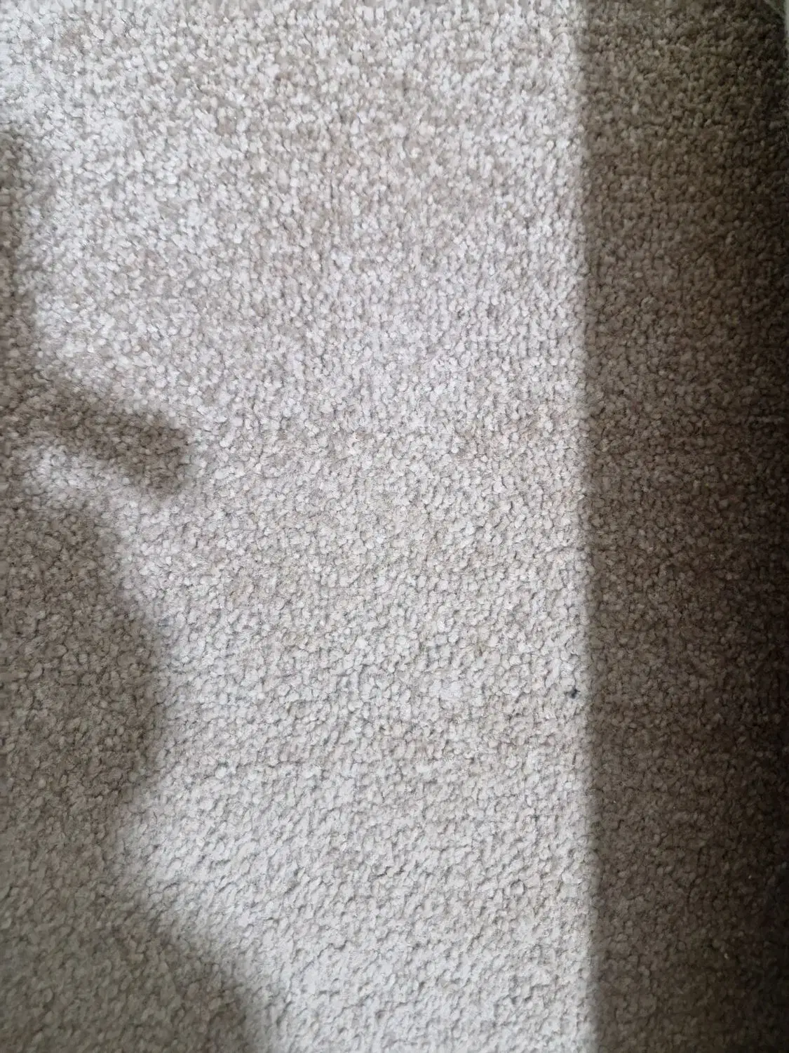 موکت پلاز|موکت|کرمانشاه, |دیوار