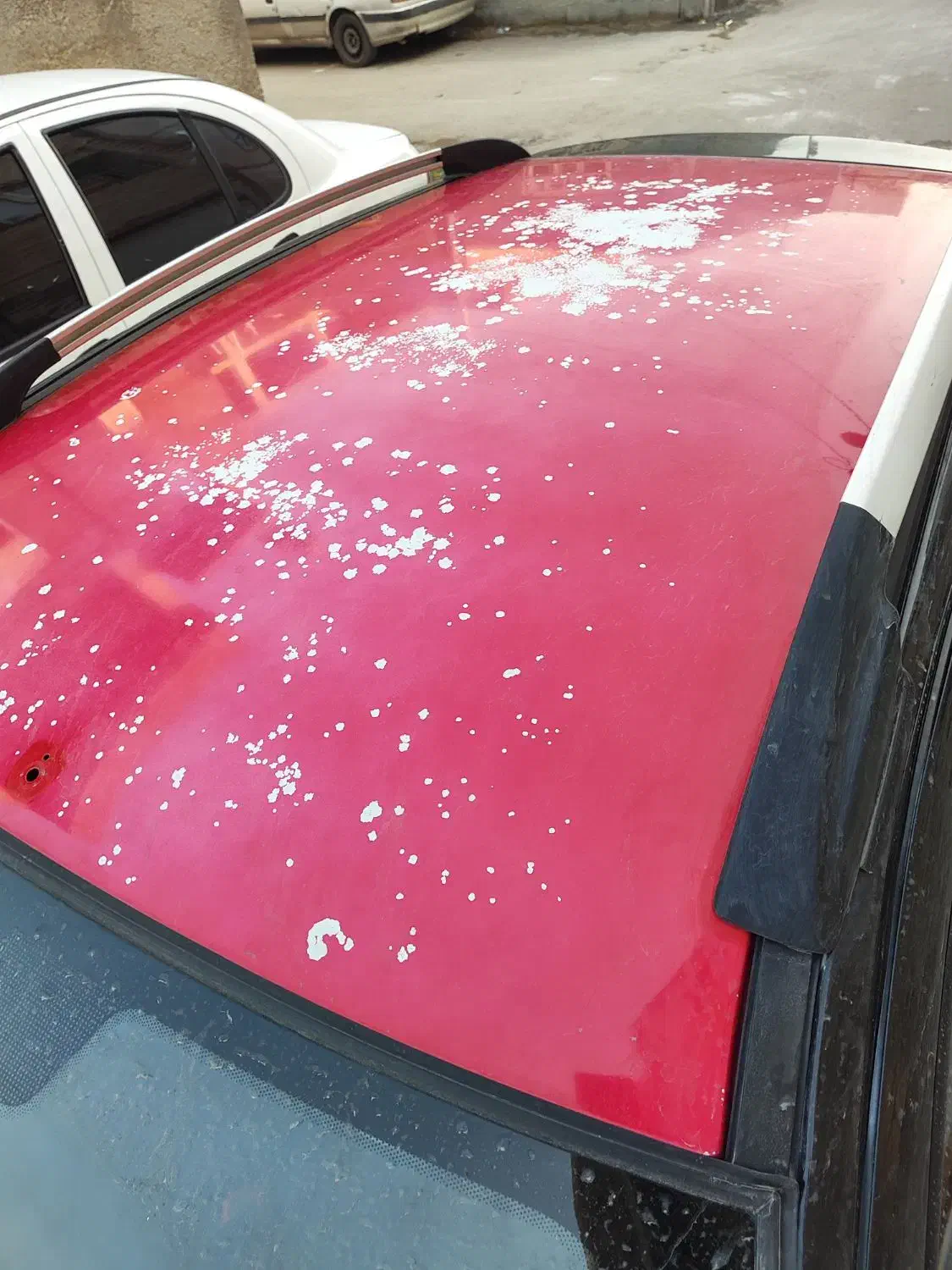 کوییکr|خودرو سواری و وانت|بوشهر, |دیوار