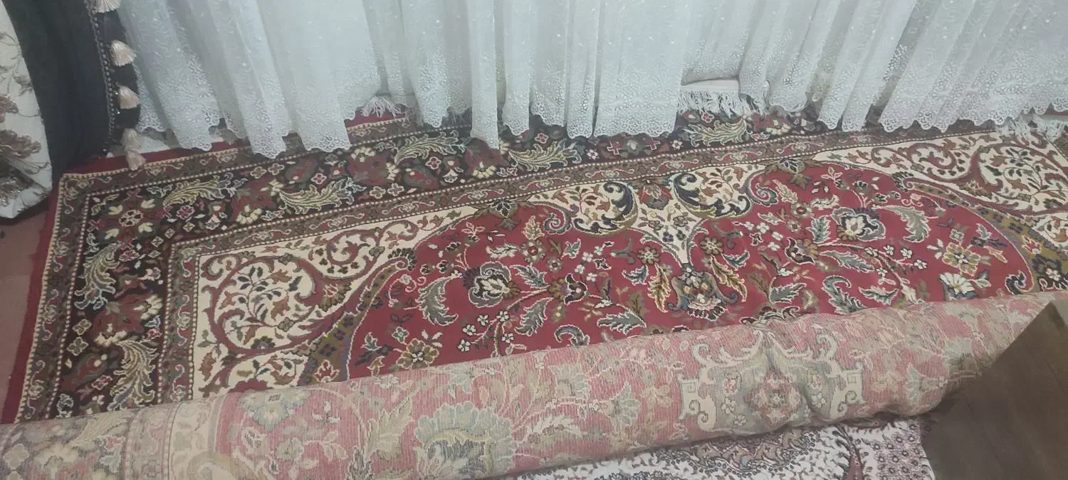 فرش ۱۲ متری ۵۰۰ شانه|فرش|شاهرود, |دیوار