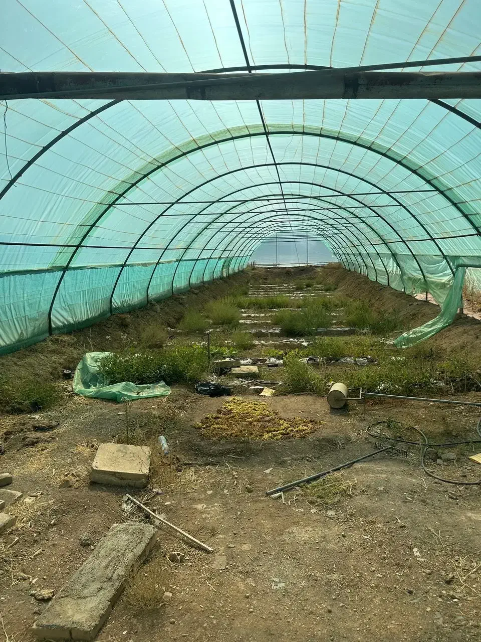 فوری/زیر قیمت کارشناسی به فروش میرسد/فوری|فروش دفتر صنعتی، کشاورزی، تجاری|ابهر, |دیوار