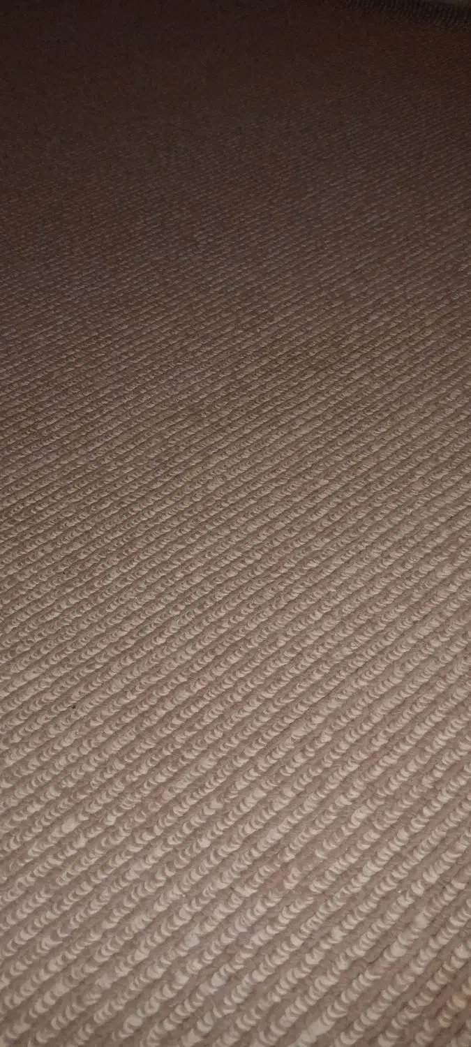 زمین|فروش زمین و ملک کلنگی|شباب, |دیوار