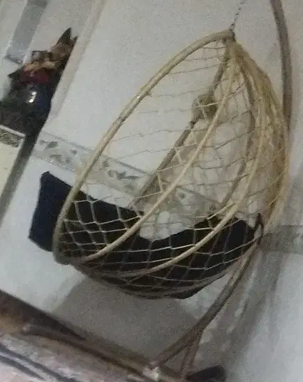 تاب ریلکسی|صندلی و نیمکت|مشهد, موعود|دیوار