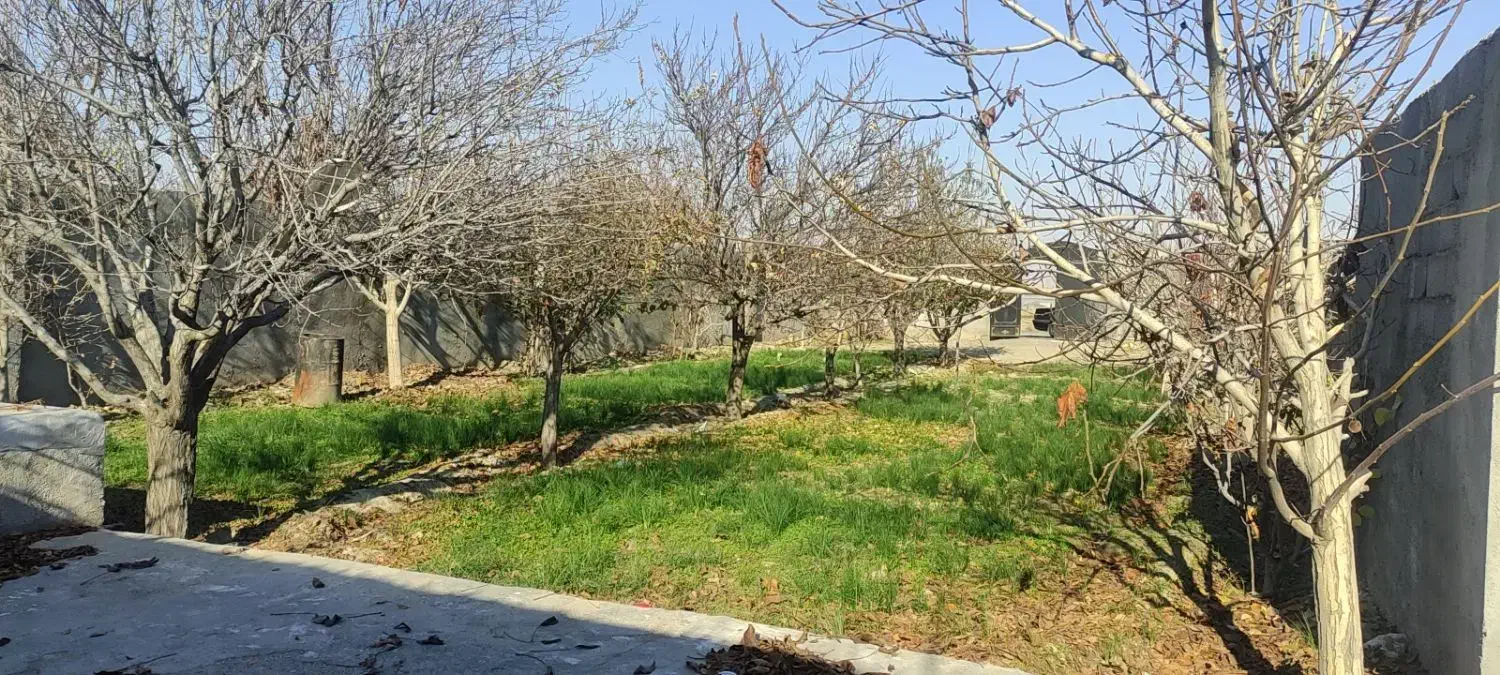 باغ توس ۹۷ معاوضه با خودرو|فروش زمین و ملک کلنگی|مشهد, صیدآباد|دیوار