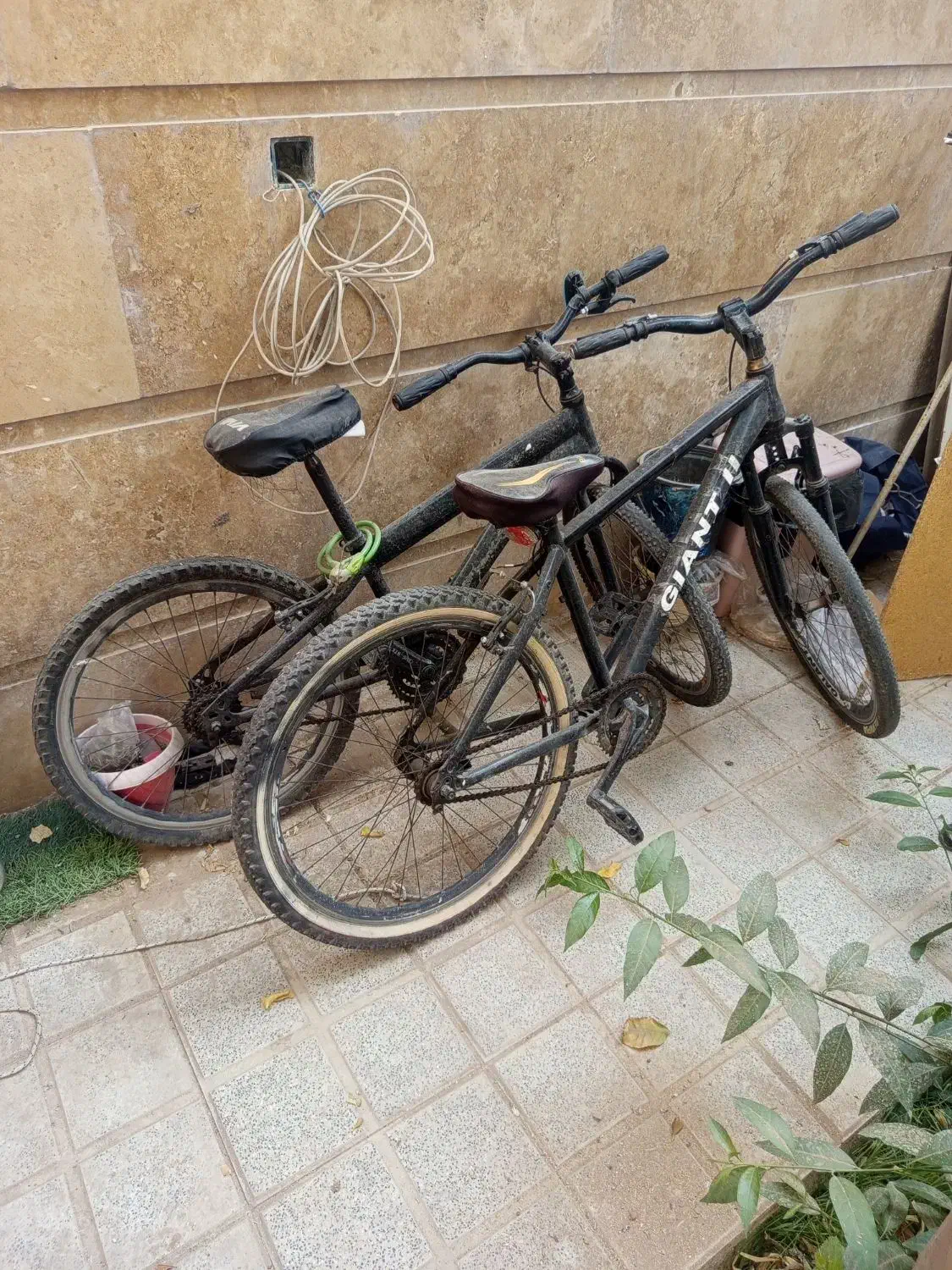 دوچرخه 26و24|دوچرخه، اسکیت، اسکوتر|یزد, |دیوار