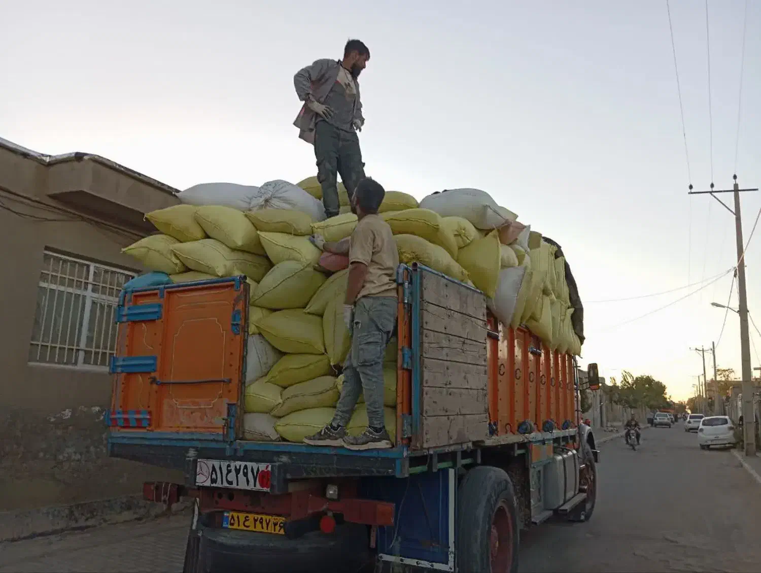 خار درجه یک  سبز نرم برای گوسفند بز شتر مرغ|لوازم جانبی حیوانات|رفسنجان, |دیوار