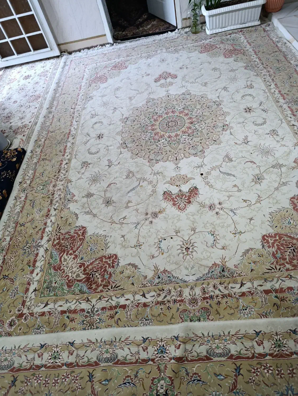 فرش 1000شانه|فرش|سوسنگرد, |دیوار