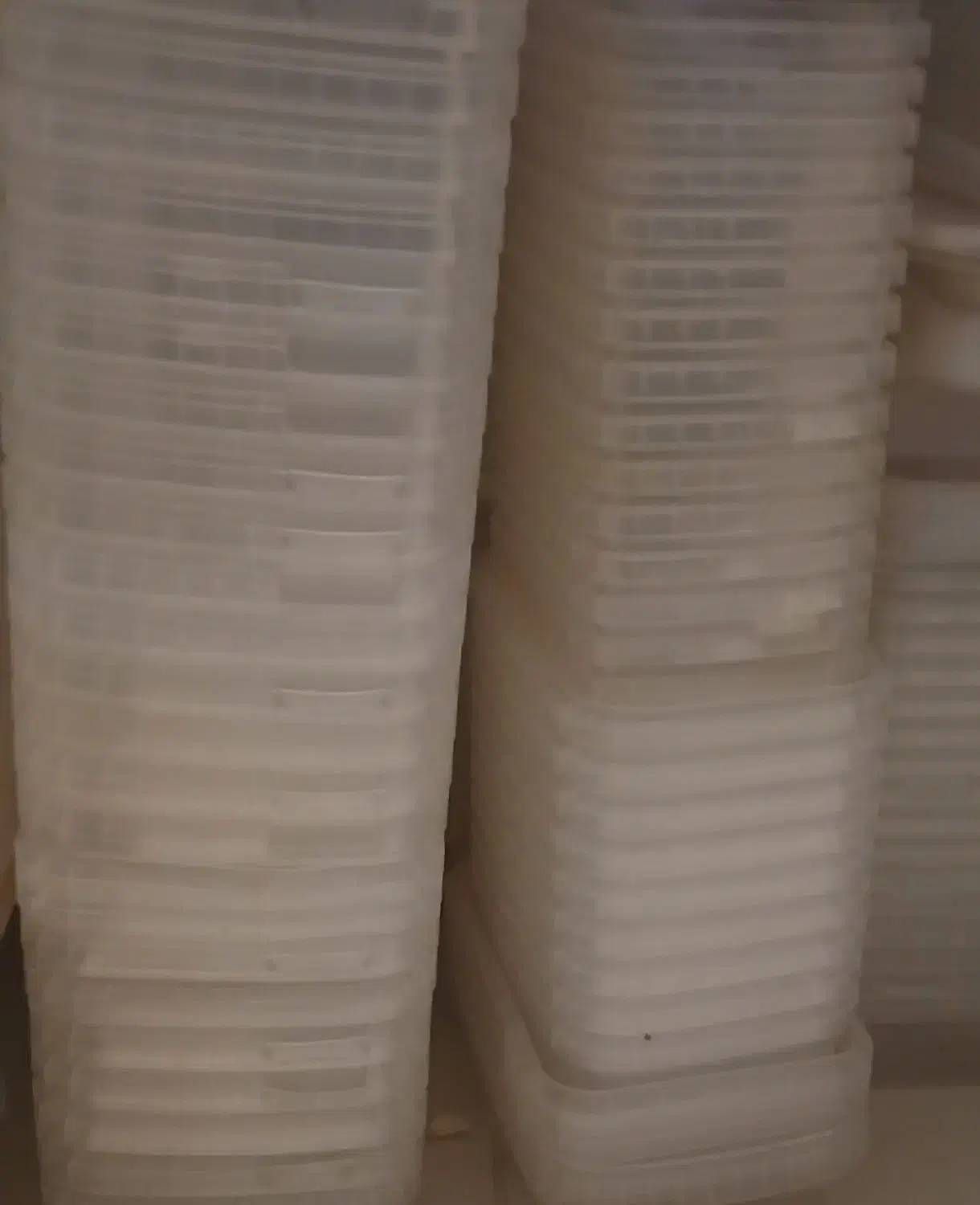 ظروف پلاستیکی|ظروف نگهدارنده، پلاستیکی، یک‌بارمصرف|تهران, زنجان جنوبی|دیوار