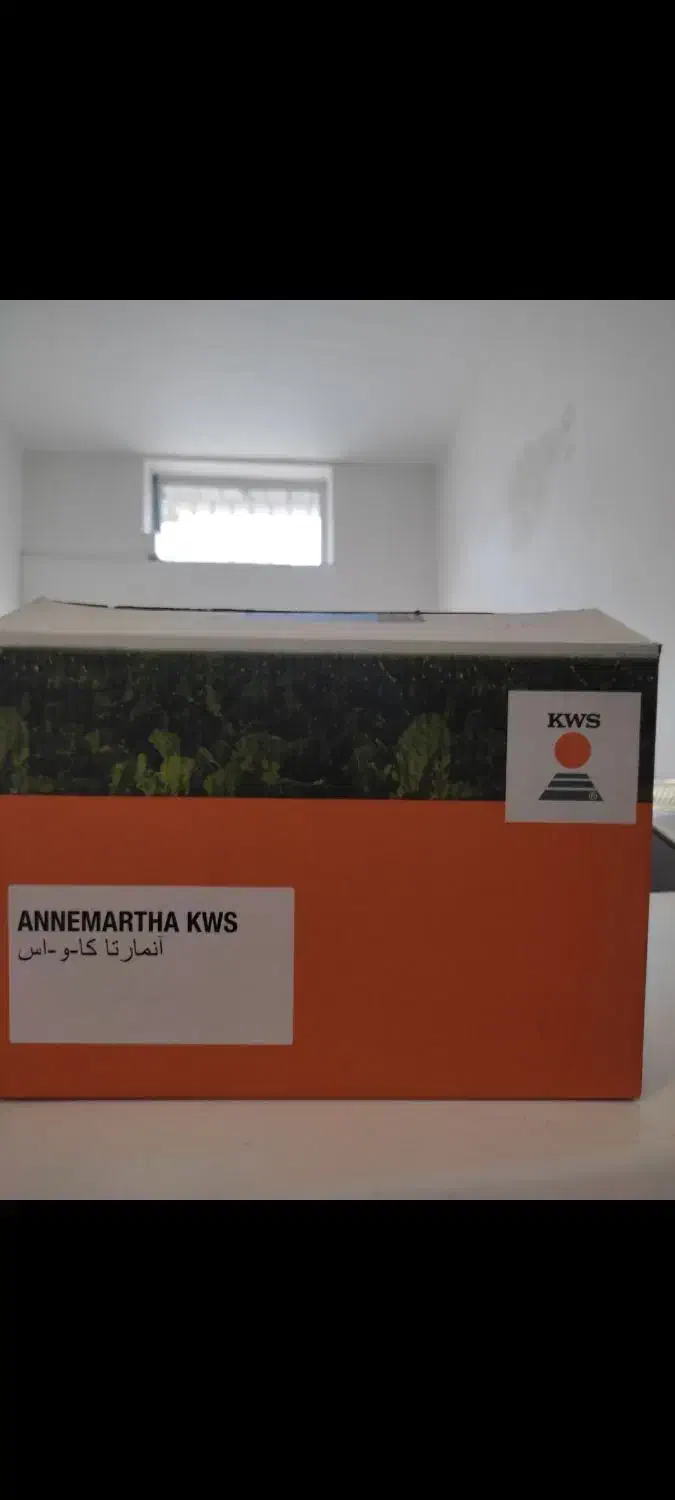 بذر چغندر قند|خدمات باغبانی و درختکاری|محمدبار, |دیوار