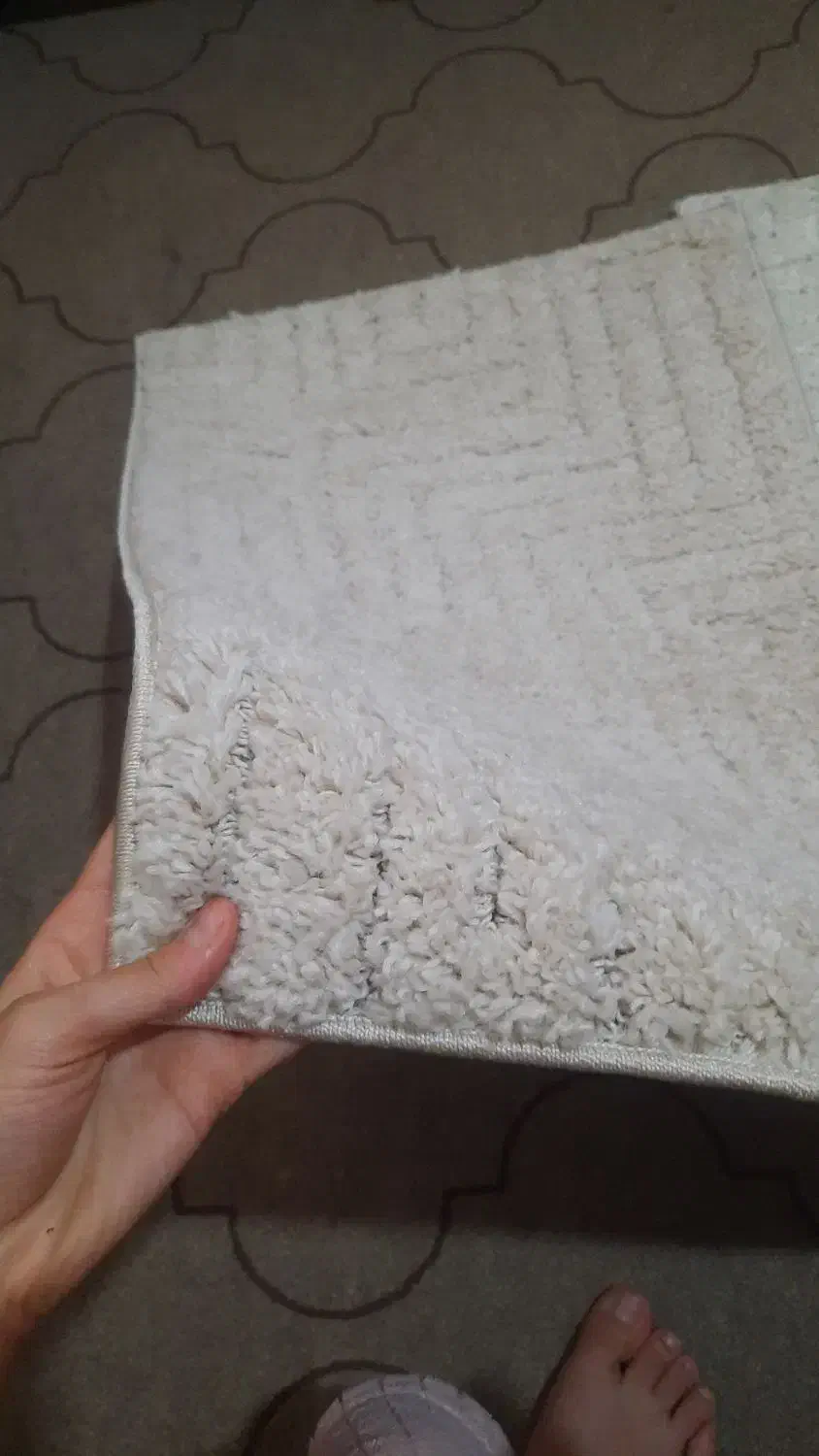 ۴ عدد پادری پشمالویی|پادری|خمینی‌شهر, |دیوار