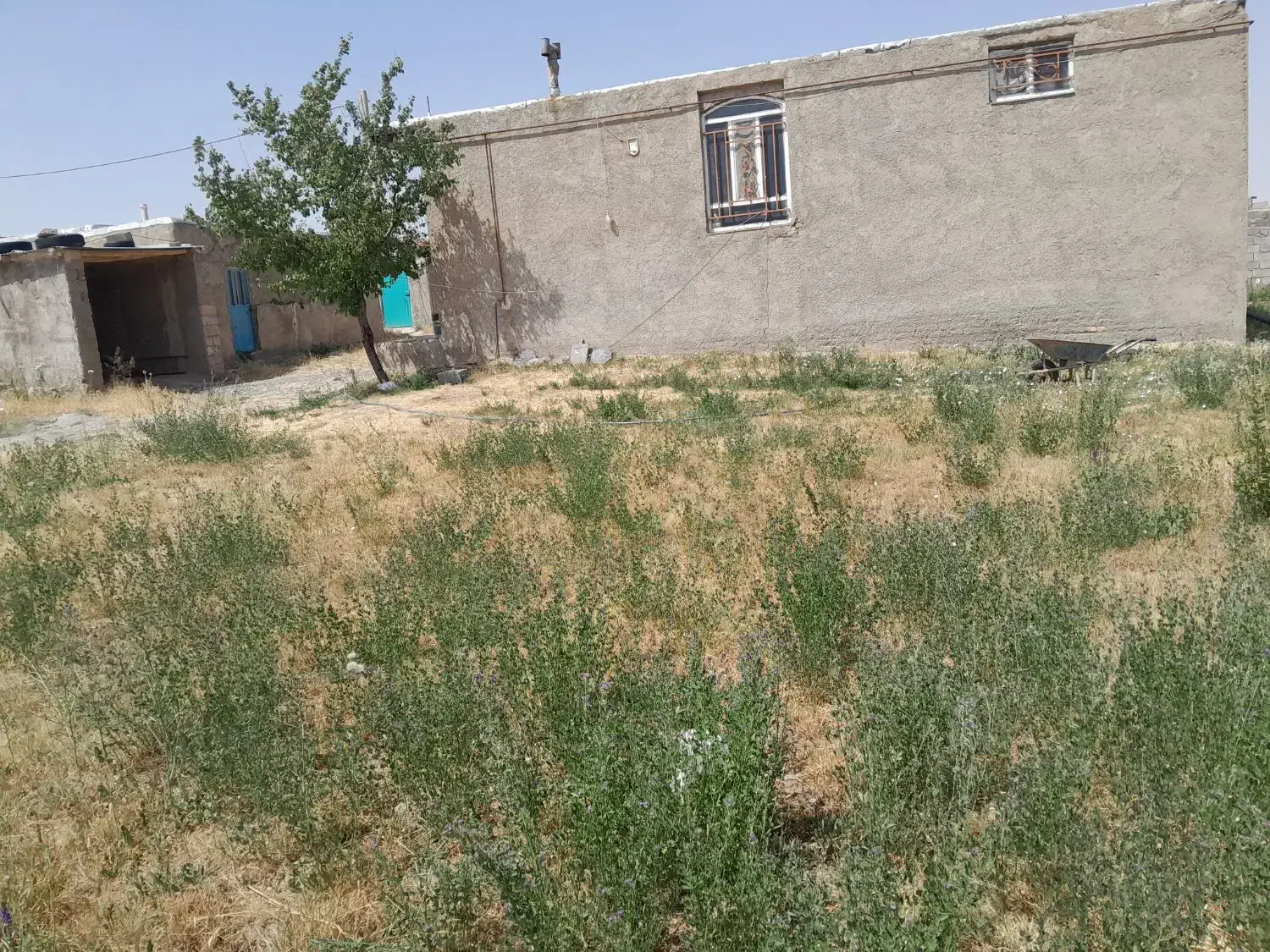 اجاره خانه ویلایی ۱۲۰متر ی|اجارهٔ خانه و ویلا|باغ حلی, |دیوار