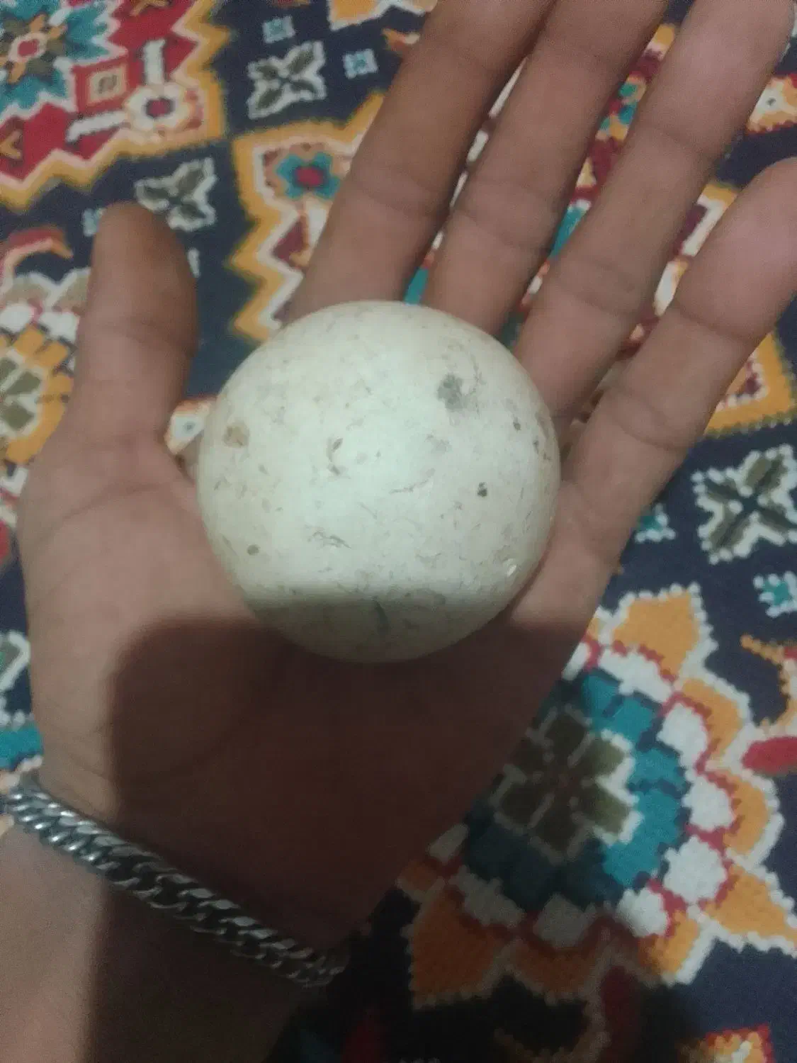 سنگ قیمتی|کلکسیون اشیاء عتیقه|نهبندان, |دیوار