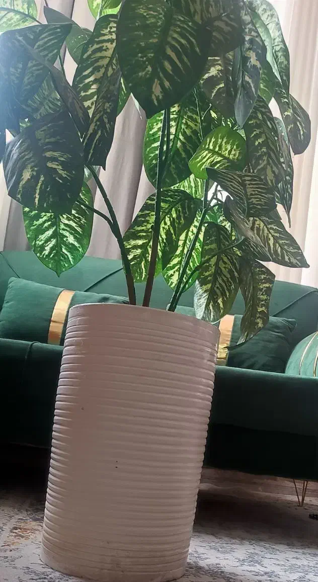 گل مصنوعی|گل مصنوعی|یاسوج, |دیوار