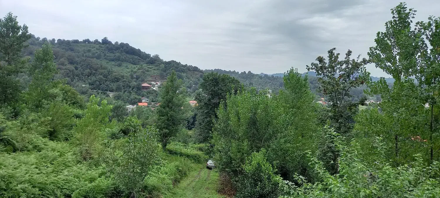 اجاره  ویلای جنگلی زیبا در روستای گردشگری  زمیدان|اجارهٔ کوتاه‌مدت ویلا و باغ|لاهیجان, لیل|دیوار