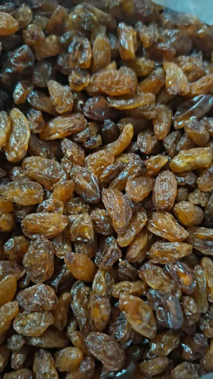 گله آفتابی. تخم مرغ محلی|خوردنی و آشامیدنی|بردسکن, |دیوار