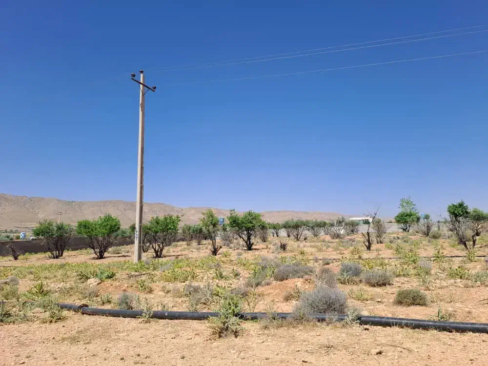 زمین باغ شهری، خالدآباد|فروش زمین و ملک کلنگی|شیراز, پایانه مسافربری سعدی|دیوار