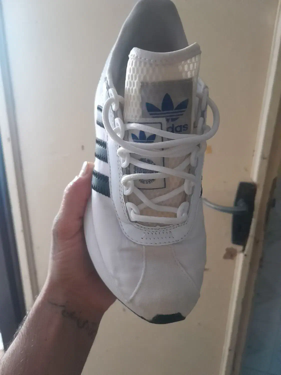 کفش ساکونی آدیداس|کیف، کفش، کمربند|شیراز, دروازه اصفهان|دیوار