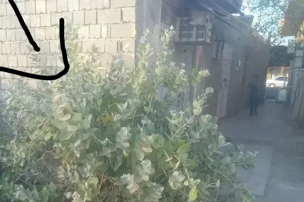 جامغازه حراج قلب شهر اسلام آباد|فروش مغازه و غرفه|رودبار (کرمان), |دیوار