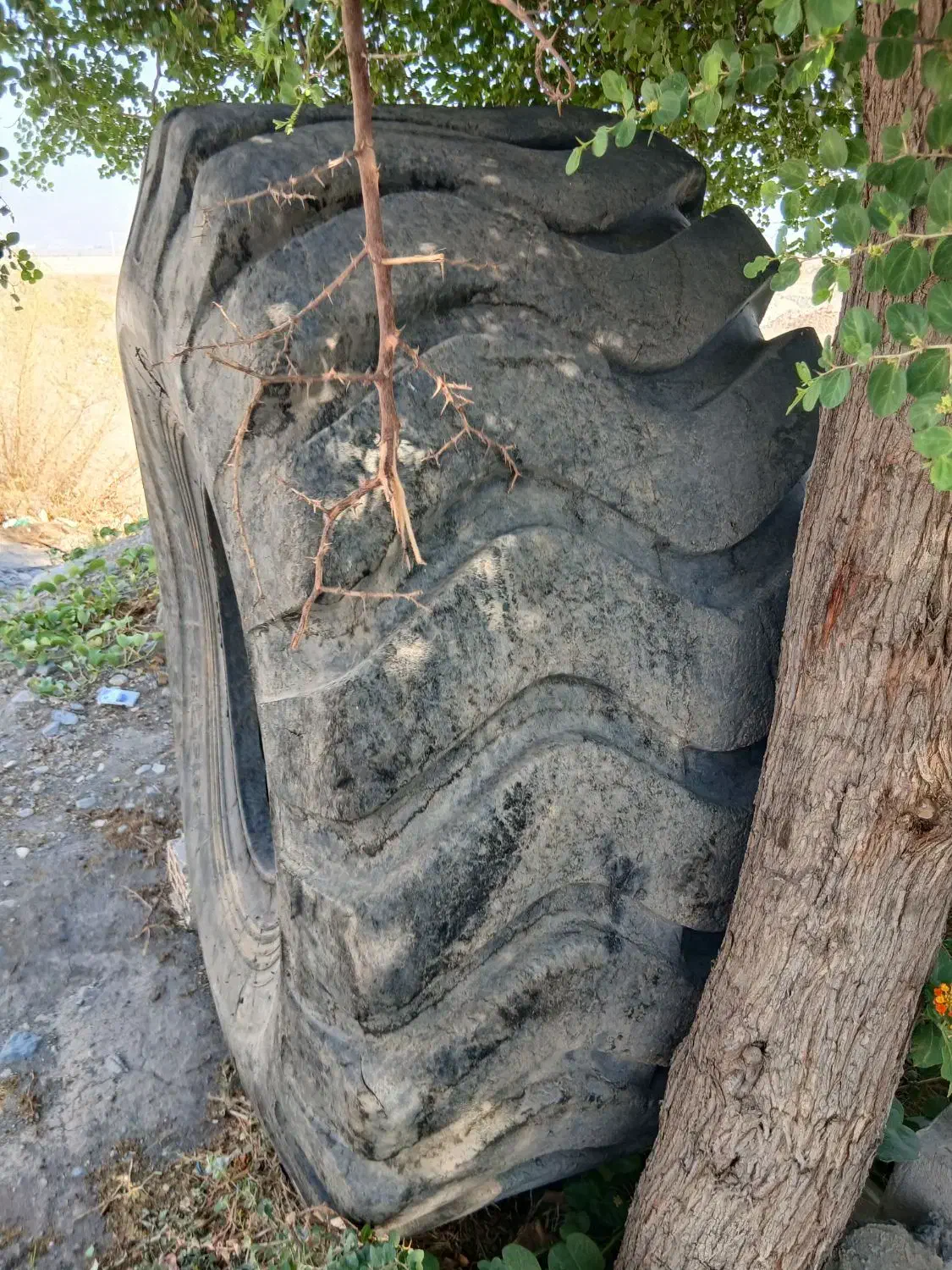 لاستیک لودر۲۶،۵،۲۵|ماشین‌آلات صنعتی|جیرفت, |دیوار