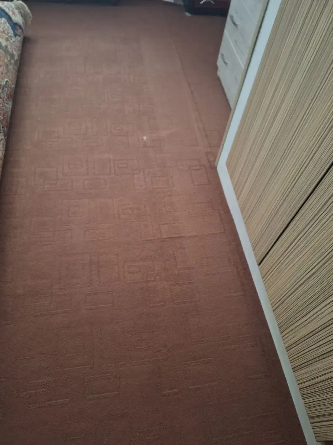 فروش موکت|موکت|ابهر, |دیوار