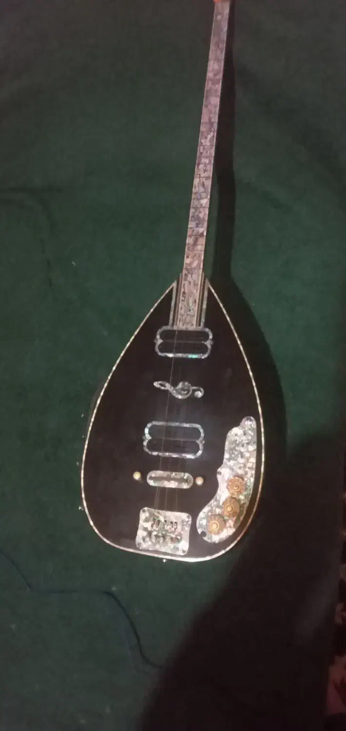 فروش باغلاما برقی|سازهای سنتی|تالش, طولارود|دیوار