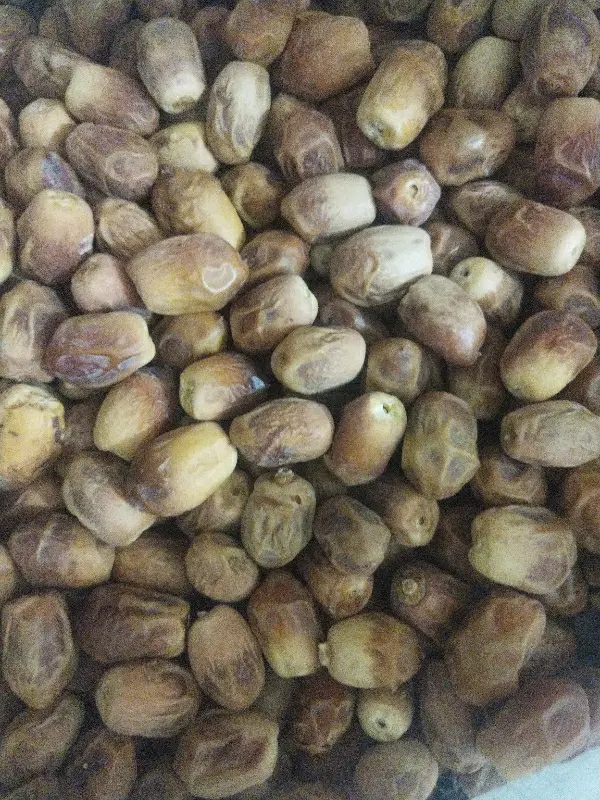 قصب|خوردنی و آشامیدنی|جره و بالاده, |دیوار