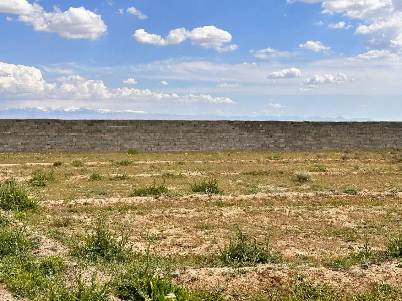 زمین ویلایی چله خانه علیا|فروش خانه و ویلا|صوفیان, |دیوار