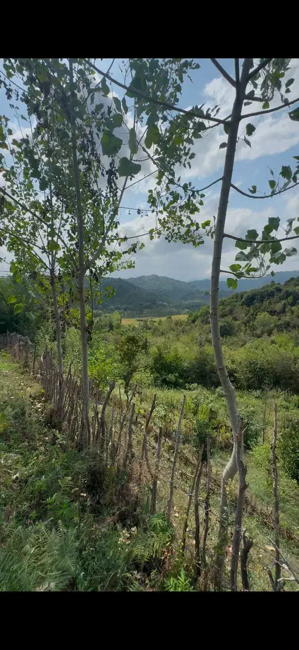 فرصت استثنایی 300مترزمین بابرعالی و امتیازات کامل|فروش زمین و ملک کلنگی|اطاقور, |دیوار