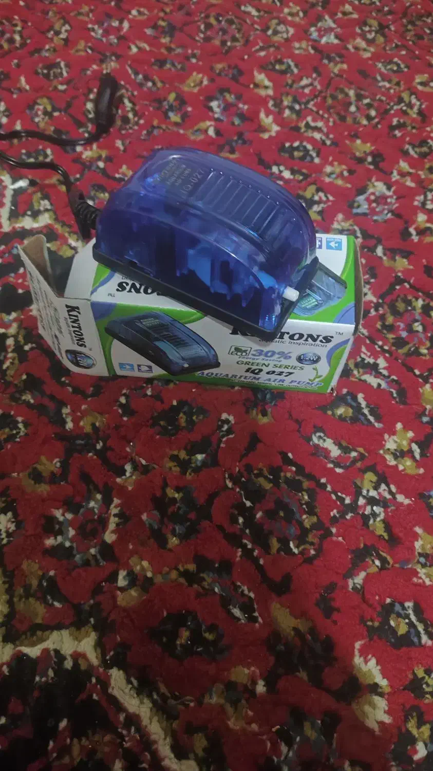 پمپ هوا|ماهی|شیراز, کوشک میدان|دیوار