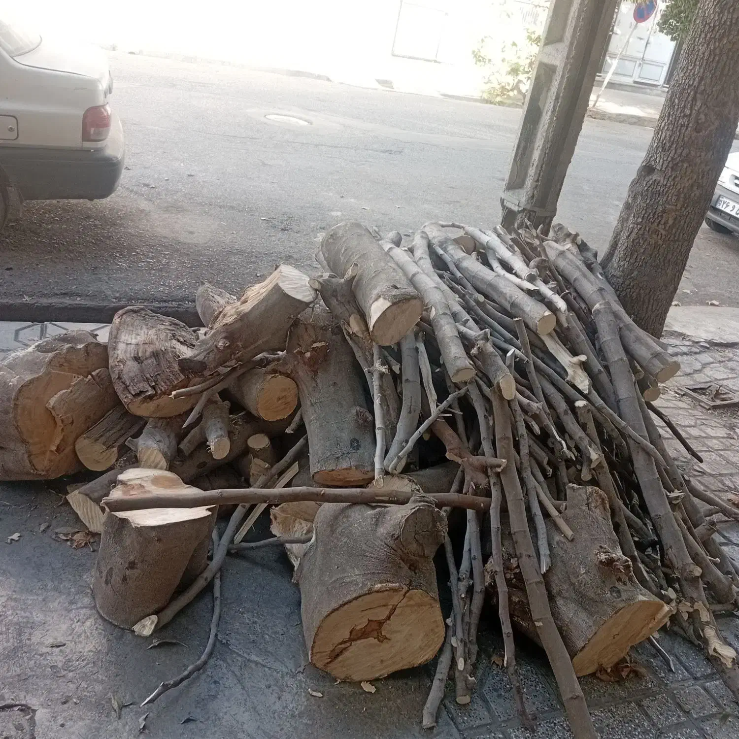 خریدانواع چوب باغی وارس باغ بابالاترین قیمت|خدمات باغبانی و درختکاری|گنبد کاووس, |دیوار