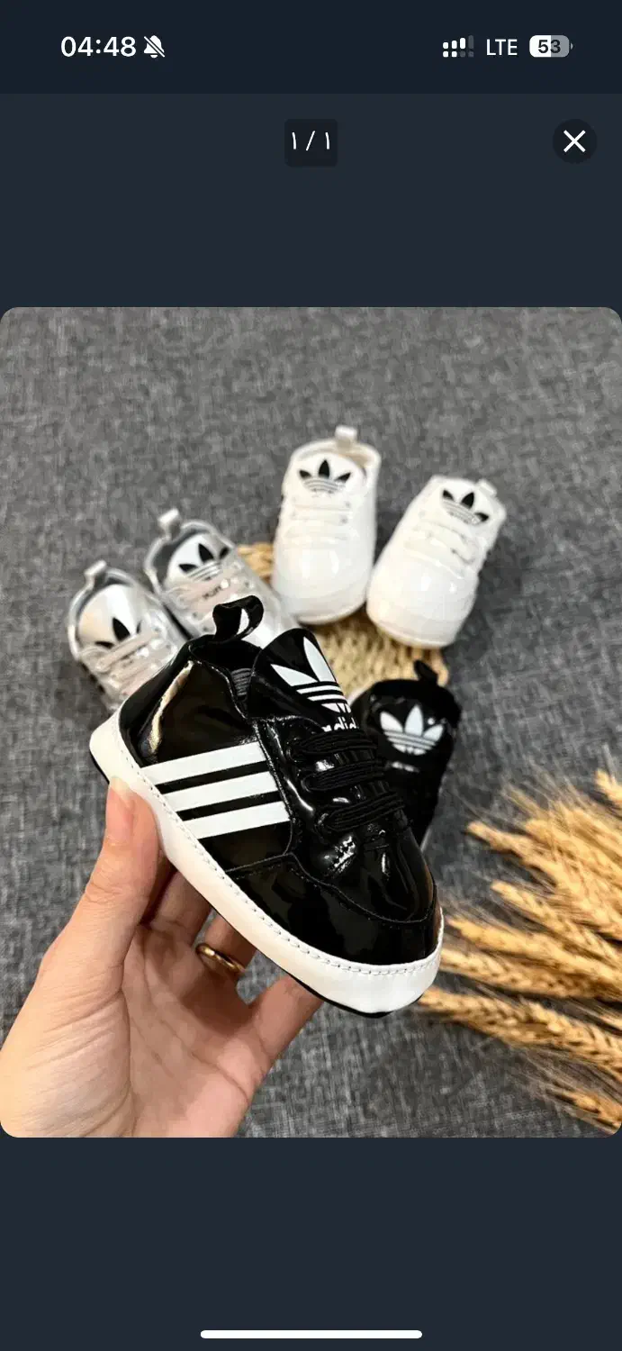 پاپوش آدیداس|کفش و لباس بچه|شیروان (خراسان), |دیوار