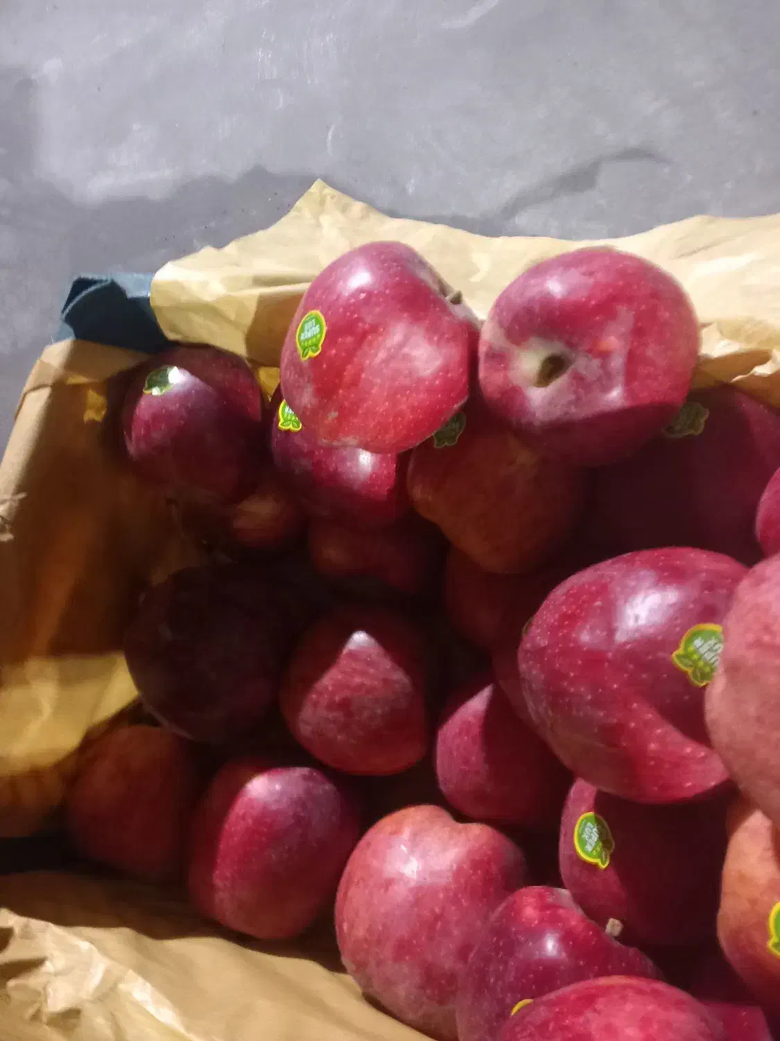 سیب سوپر|خوردنی و آشامیدنی|مشگین شهر, |دیوار