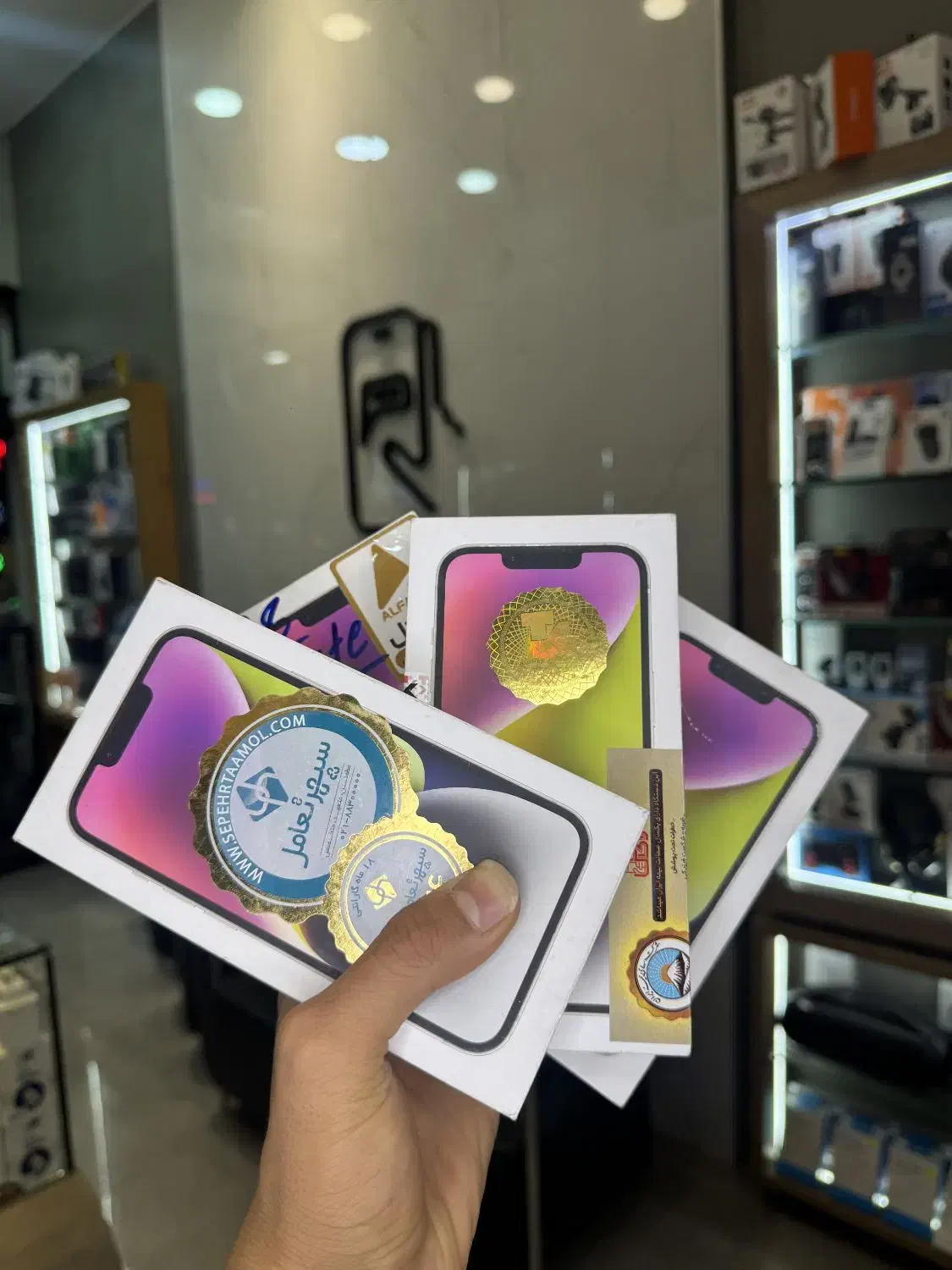 iPhone 14 معمولی|موبایل|قزوین, |دیوار