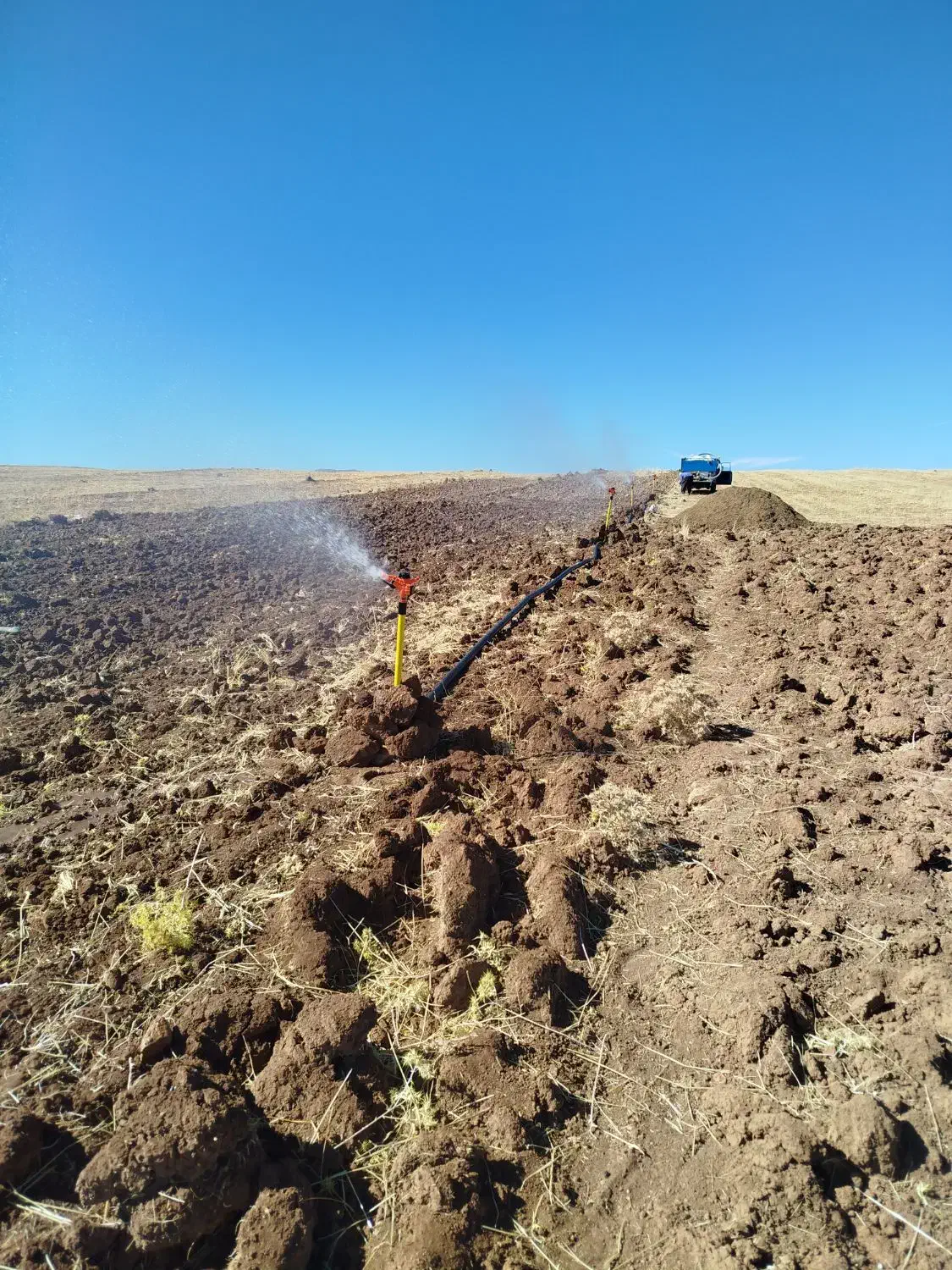 فروش کود حیوانی تمیز|گل و گیاه طبیعی|نورآباد, |دیوار