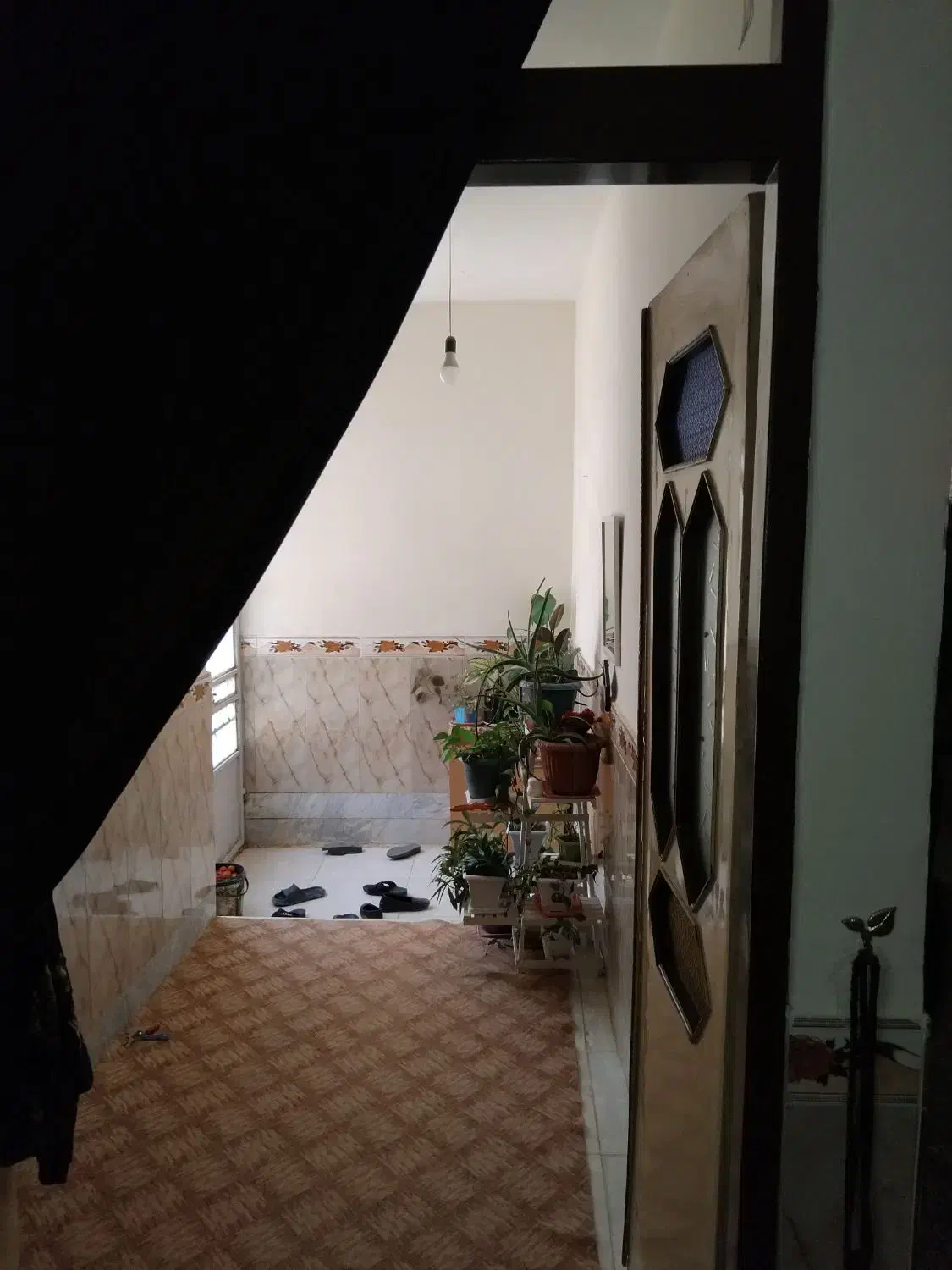 حراج فوری|حراج|تربتحیدریه, پائین ولایت|دیوار