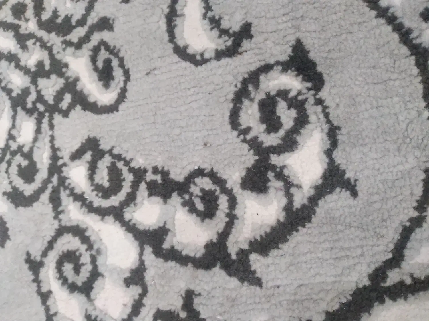 فرش  فانتزی۶متری|فرش|آبیک, |دیوار