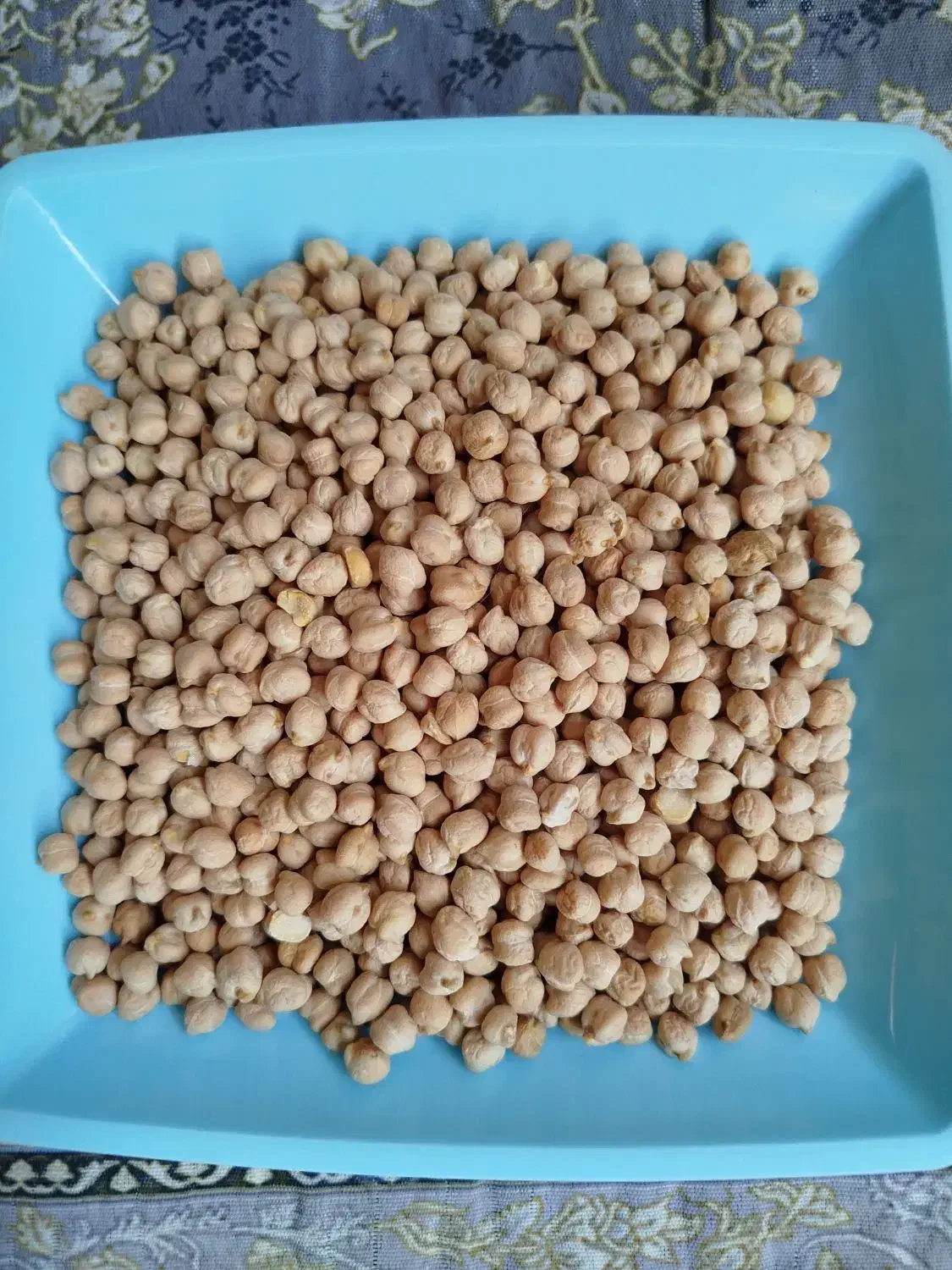 فروش انواع حبوبات مرغوب بصورت عمده و جزئی|عمدهفروشی|گنبد کاووس, |دیوار