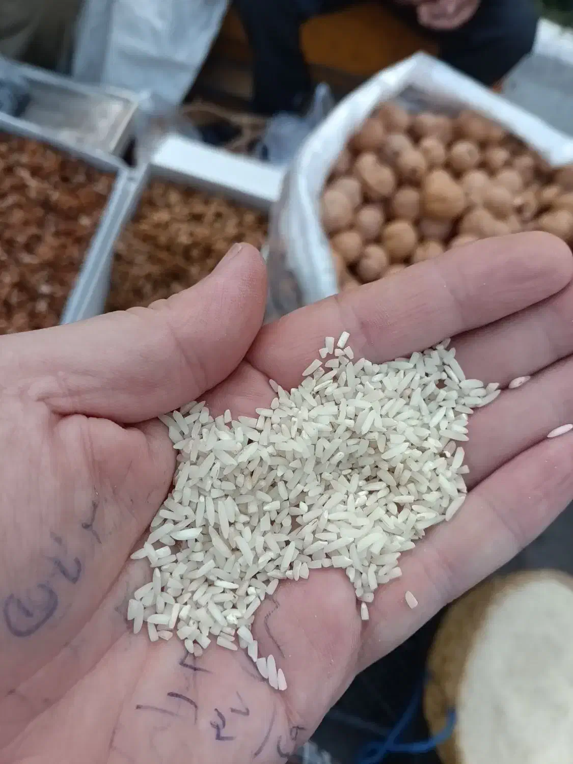 برنج سالم و لاشه و نیمدانه هاشمی.علی کاظمی|خوردنی و آشامیدنی|سنگر, |دیوار