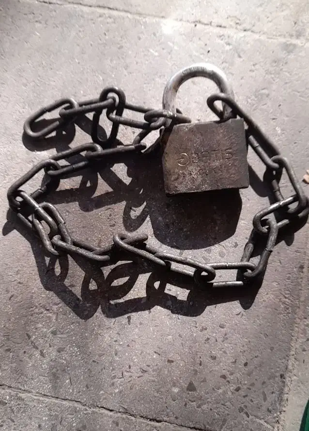 حراج۹عددقفل بایک زنجیر  ۶۰۰ت|حراج|فردیس, فرامرزیه|دیوار