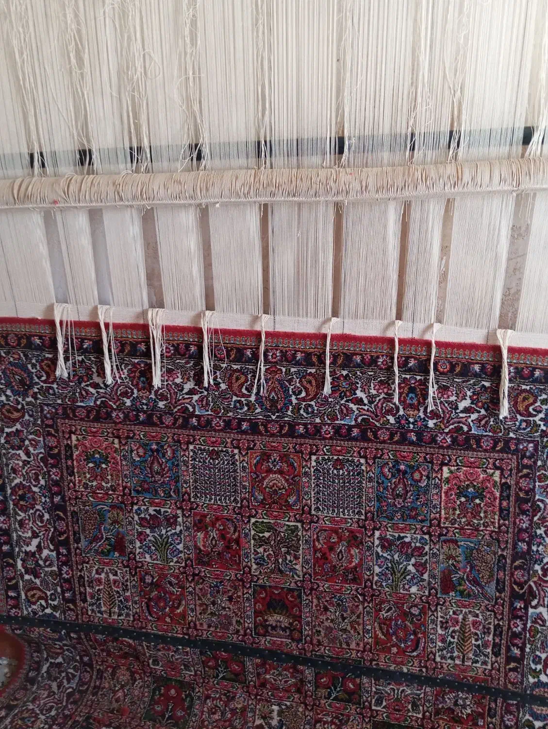 فرش دست باف|فرش|چنارود, |دیوار